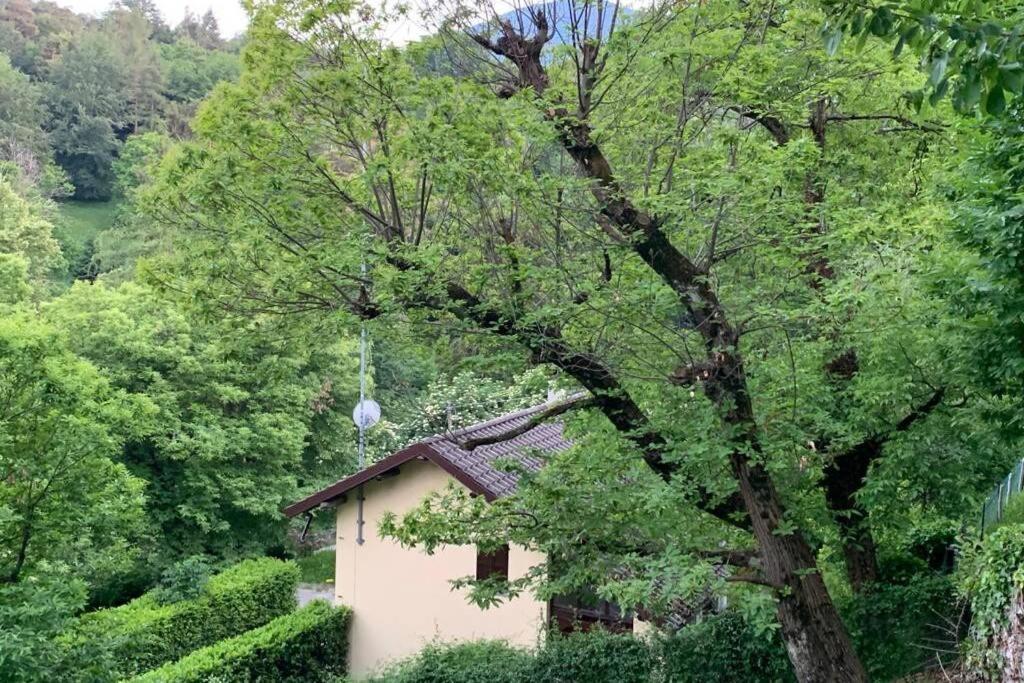 Traditional Villa Bellagio San Primo Lake Como Extérieur photo